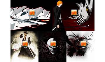 Bleach Logon Screen for Windows - Download it from Habererciyes for free